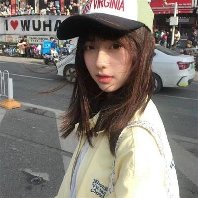 刺猬与城市