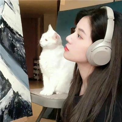 青春突击
